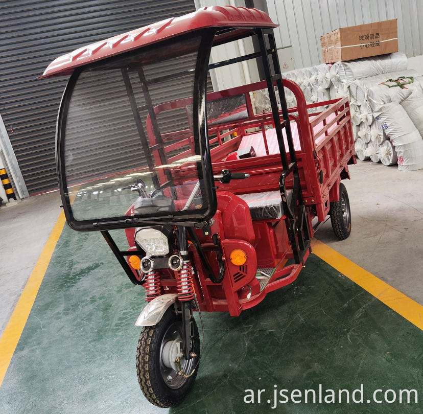 Electric Tricycle for Cargo